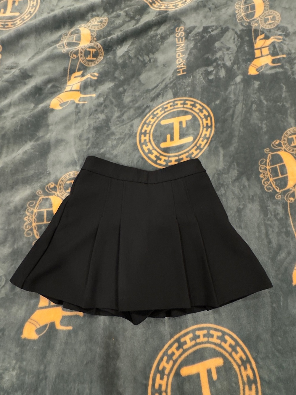 Zara Black Pleated A-Line Mini Skirt
